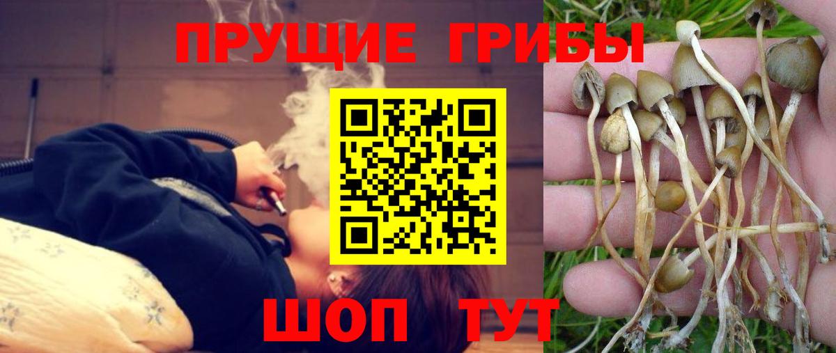 Галлюциногенные грибы ЛСД  Вход с VPN  Аша 