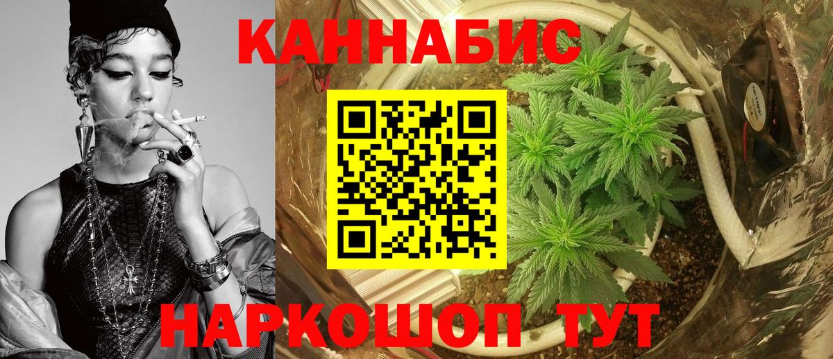 Канабис гибрид  Каннабис конопля  Марихуана планчик  Аша  Каннабис SATIVA & INDICA  Вход с VPN 